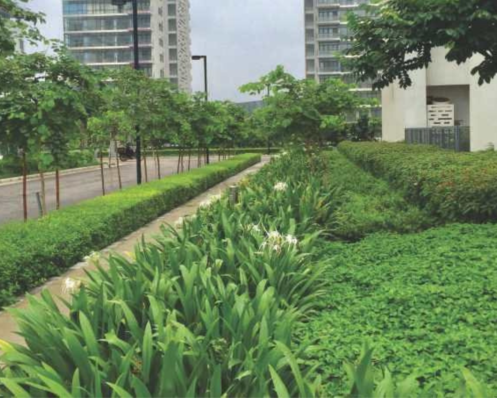 Ireo (Housing)