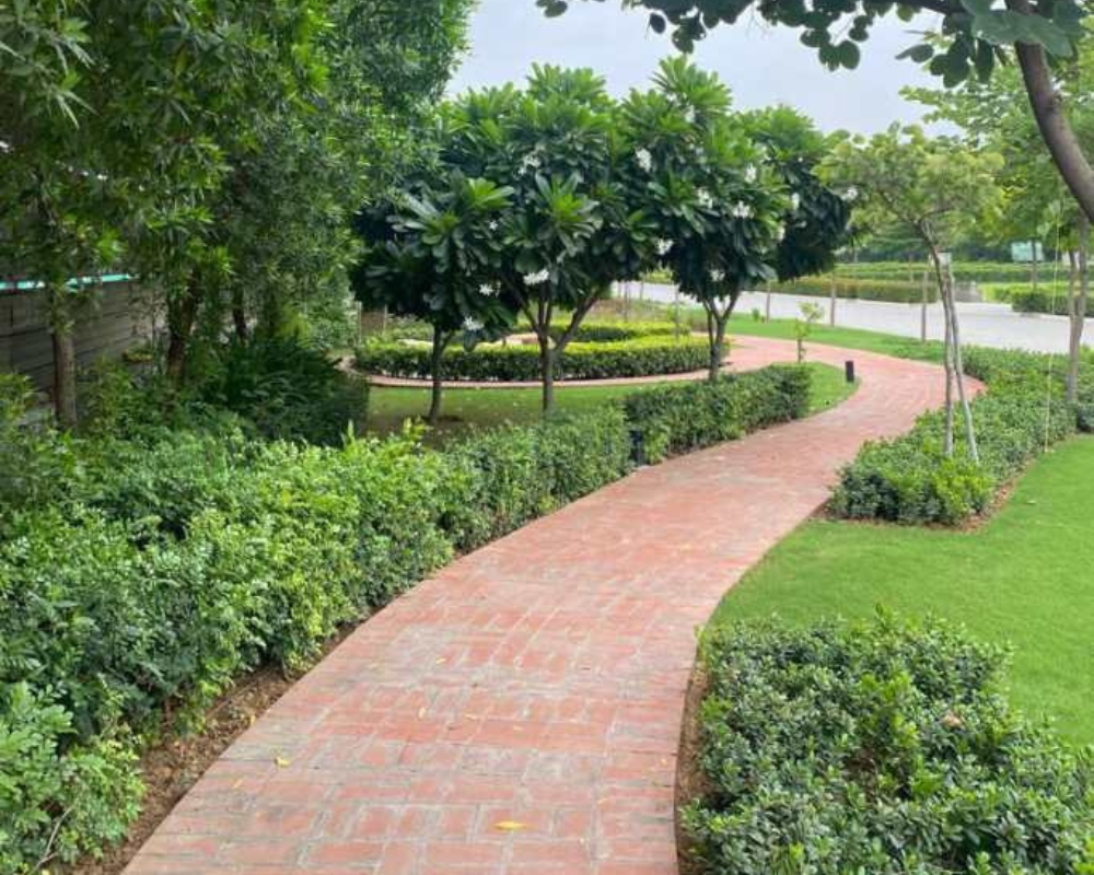 TRL Riceland Pvt. Ltd. (Residentials)