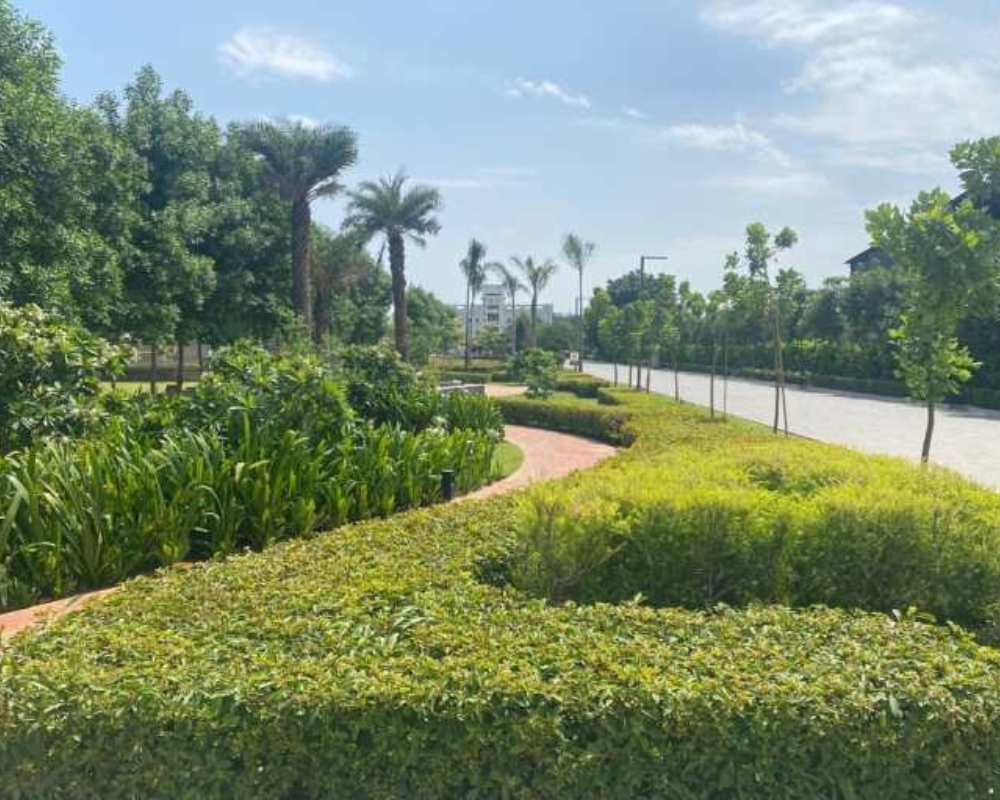 TRL Riceland Pvt. Ltd. (Residentials)