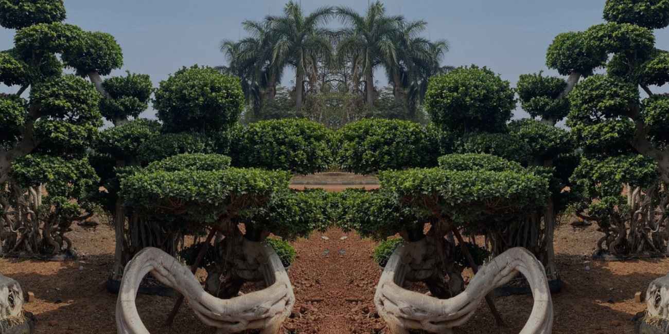 Exotic Plants Collection