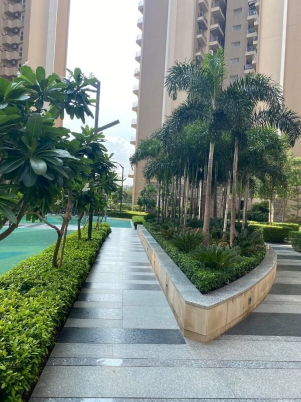 Best Landscape Development company