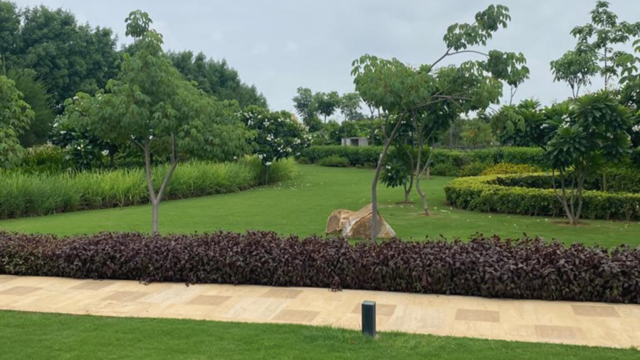 Landscaping Company in Gurgaon