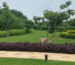 Landscaping Company in Gurgaon